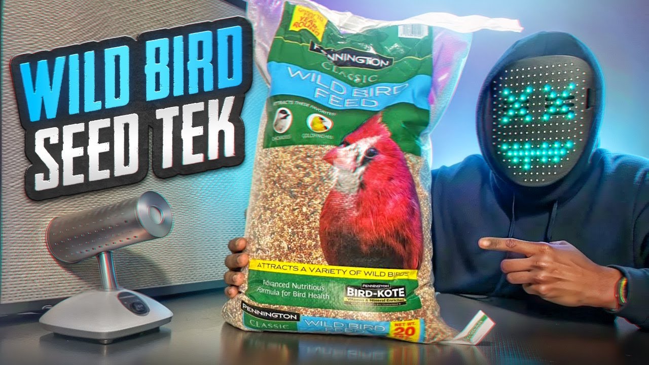 How to generate GRAIN SPAWN using the WILD BIRD SEED TEK (Steps 2 & 3) of an 8-STEP SERIES