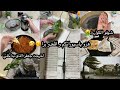 ام رسلان:الجزايري حاجة ما تشدو😅تحضيرات رمضان🌙 شمري على ذرعيك و تبعي حبيبتك