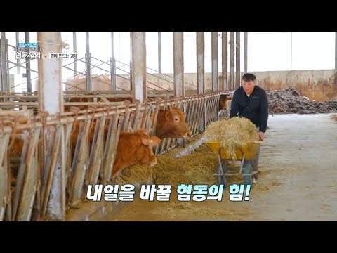 현재는 협동의 힘으로 탄생 된 건초 | 특별기획 함께하는 역동경제 <strong>협동조합</strong> 1 회