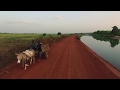 Bamako, Niger river - Irrigation