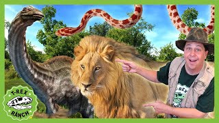 Dinosaur Adventure With Zoo Animals! TRex Ranch Adventures for Kids