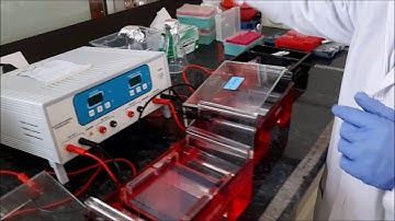 Environmental Mol.Bio. Lab - CED, IIT Roorkee