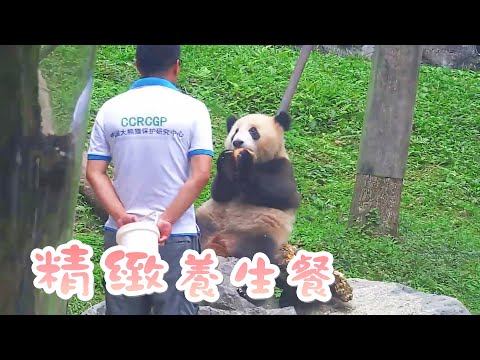 《熊貓早晚安》奶爸給熊寶的養生餐 | iPanda熊貓頻道