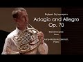 Schumann - Adagio and Allegro, Op. 70 - David Cooper, Horn and Anne-Marie McDermott, Piano