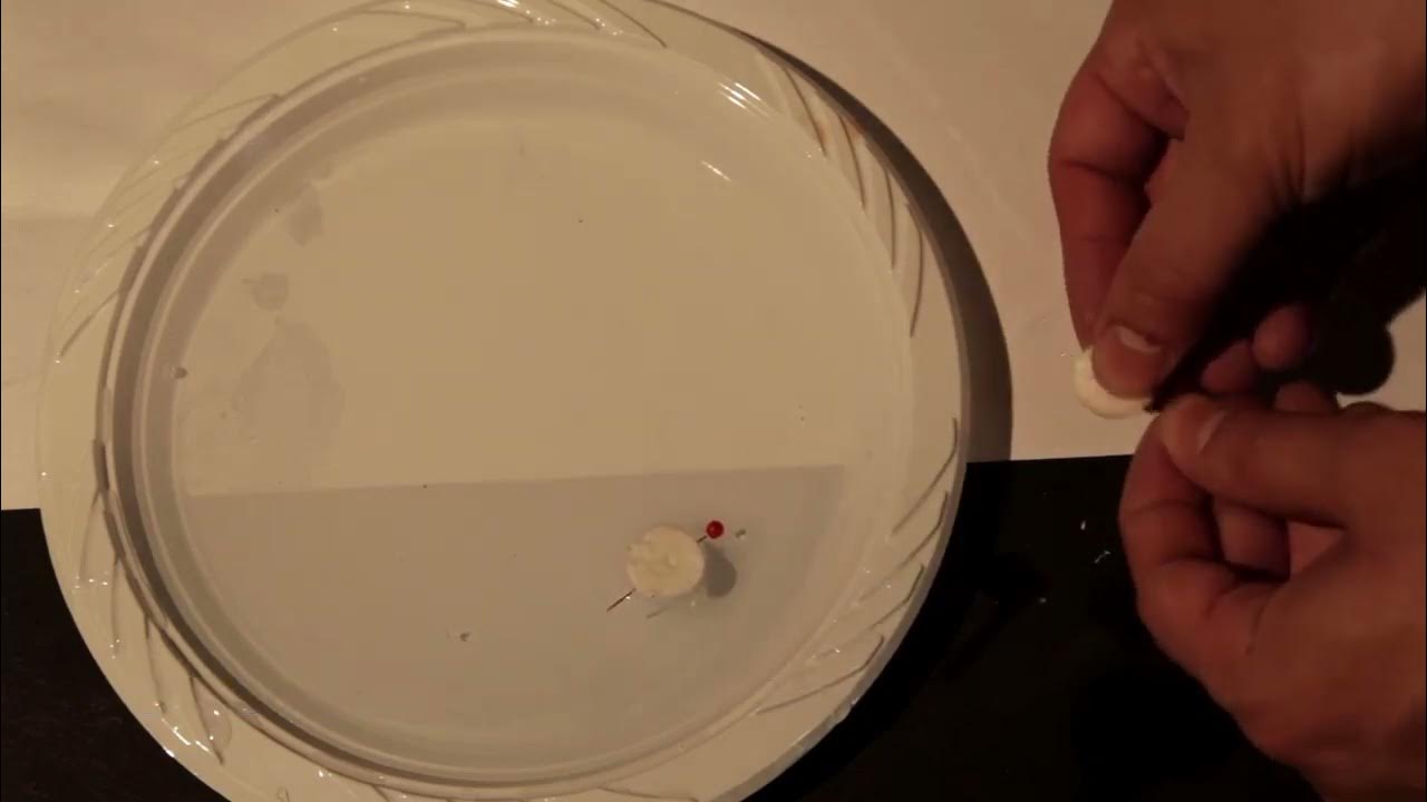 Neutralize a compass Discoveries & Projects Physics Khan Academy