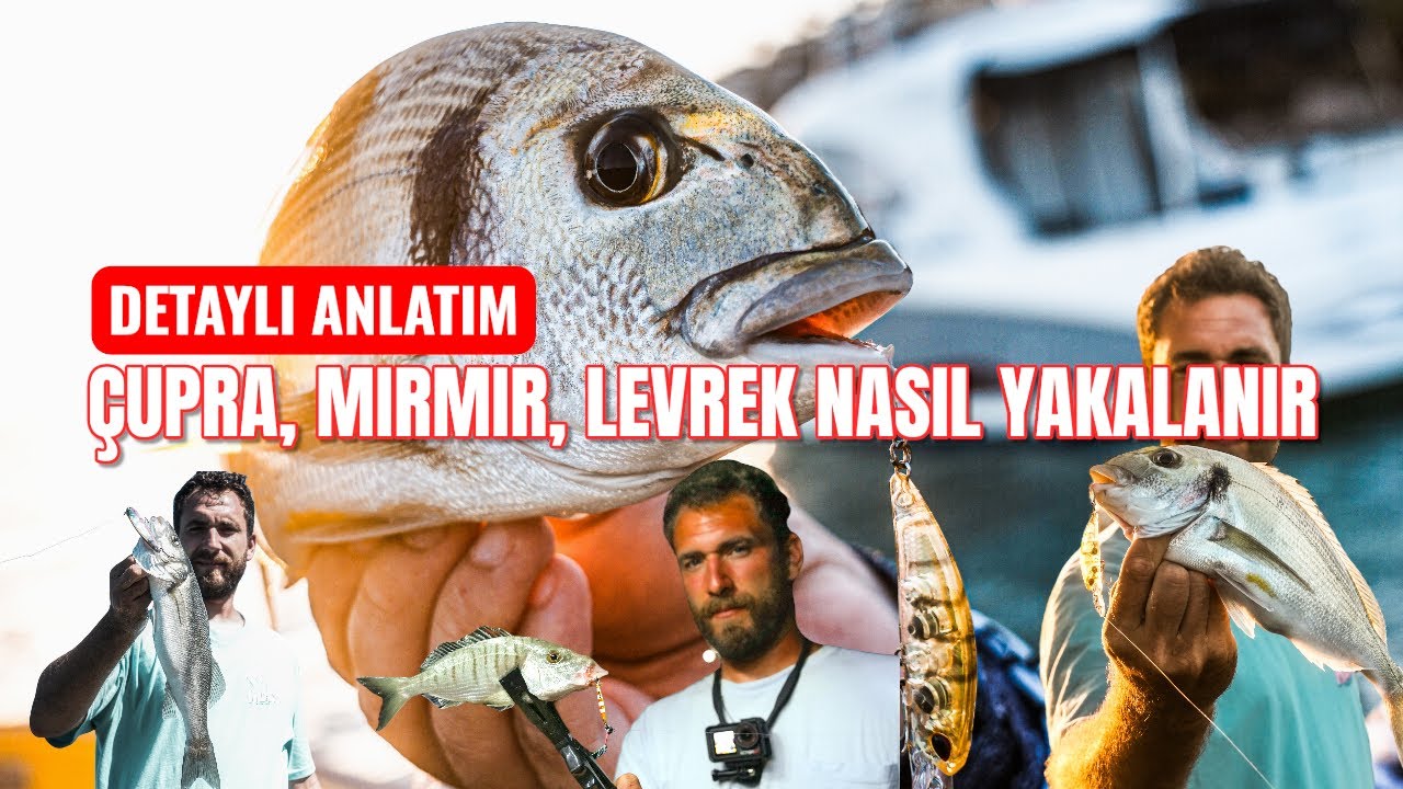 SAHTE YEMLE ÇUPRA, MIRMIR VE LEVREK AVI NASIL YAPILIR