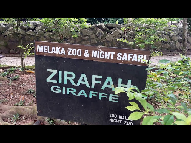 Zoo Melaka, Ayer Keroh  DestiMap  Destinations On Map