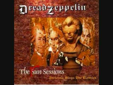 Suite Judy Blue Eyes Dread Zeppelin