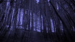 The Cure - A Forest (Plati Slick Version)