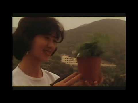 挡不住的风情(粤语中字)|韩伟达执导，任达华、翁虹、王敏德、尹扬明主演