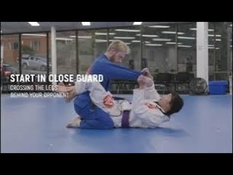 Little Champions 1 - Taking the Back