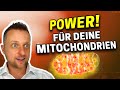 Mitochondrien Boost: So verbesserst du deine Zellgesundheit | Zellkraftwerke stärken