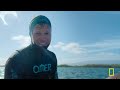 Survival of the Smartest (Full Episode) | Secrets of the Penguins | Nat Geo Animals