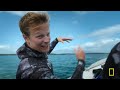 Survival of the Smartest (Full Episode) | Secrets of the Penguins | Nat Geo Animals