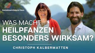 Heilpflanzen-Urtinkturen Lebendige Wirkkraft - Pharmazeut Und Heilpflanzenexperte C.kalbermatten