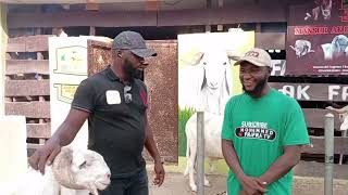 Livestock Farming:This Nigerian is A Beast When it Comes To Sheep Fattening