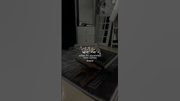 (ولن يؤخر الله نفسا إذا جاء أجلها) القارئ: شريف مصطفي