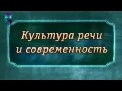 Культура речи. Передача 13. Заглянем в словарь