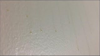 What Are These Gross Brown Spots on My Bathroom Walls