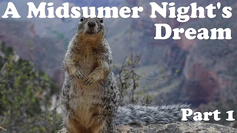 Felix Mendelssohn | A Midsummer Night's Dream - Part 1 | February 20 2017