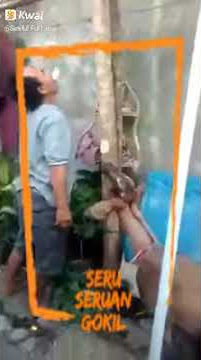 Lomba Kerupuk Lawan Kambing Pondok Iful