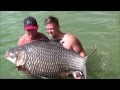 A stunning 90lb red tail catfish and 140lb Siamese carp