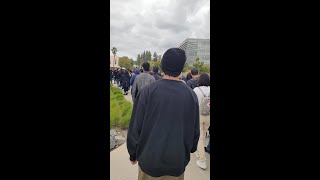 Information Bronco Day 2024 for admitted students at Cal Poly Pomona Guide