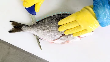 Welcher Fisch ist ähnlich wie Dorade?