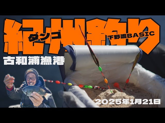 Black porgy fishing at Furuwaura fishing port - Shimono style