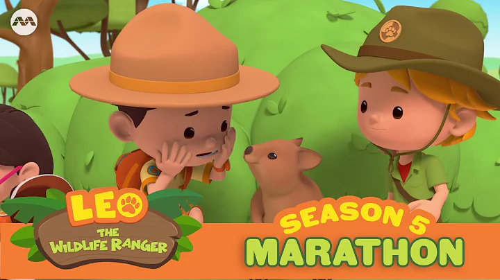 Leo The Wildlife Ranger Season 5 EP1 - 20 | @mediacorpokto ​ #marathon