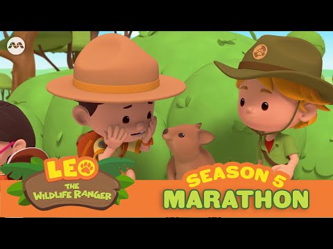 Leo The Wildlife Ranger Season 5 EP1 - 20 | @mediacorpokto ​ #marathon