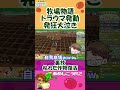 【牧場物語】配信中に作物が枯れて発狂wwみんなのトラウマを裏技で復活!?【Welcome!ワンダフルライフ】