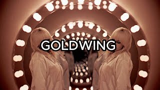 Billie Eilish - GOLDWING (Lyrics)