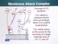 BIO201 Cell Biology Lecture No 139