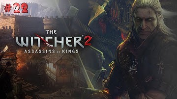 The Witcher 2 Assassin