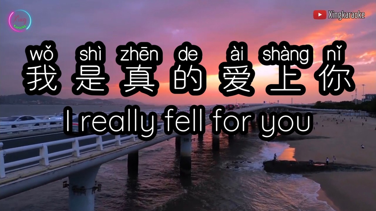我是真的爱上你 Wo Shi Zhen De Ai Shang Ni | Mandarin Song Cover