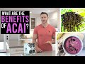 What are the Benefits of Acai The Amazons Superfruit Thomas DeLauer mp3