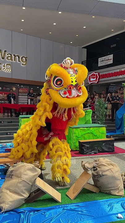 KHUAN LOKE Kg Tunku PJ at 2025 National Traditional Liondance Championship 💛 #liondance #malaysia