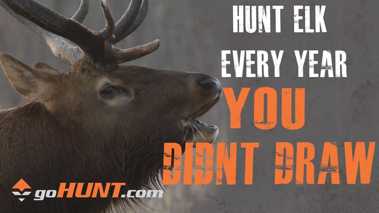 Hunt Elk Every Year How You Can Still Hunt Elk This Year with goHUNT