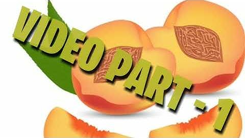 Halves and Quarters l Video part 1 l maths l class 4 l chapter 9l NCERT