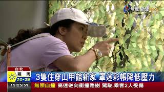 紅藍吸蜜鸚鵡台北動物園隱藏版嬌客