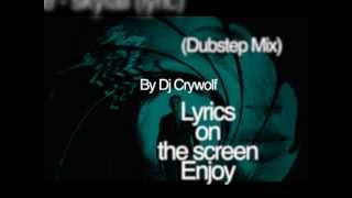 Adele-Skyfall (Dubstep Mix) lyrics