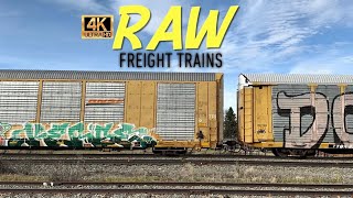 RAW Freight Trains: ROLLING THUNDER Featuring CN Railway