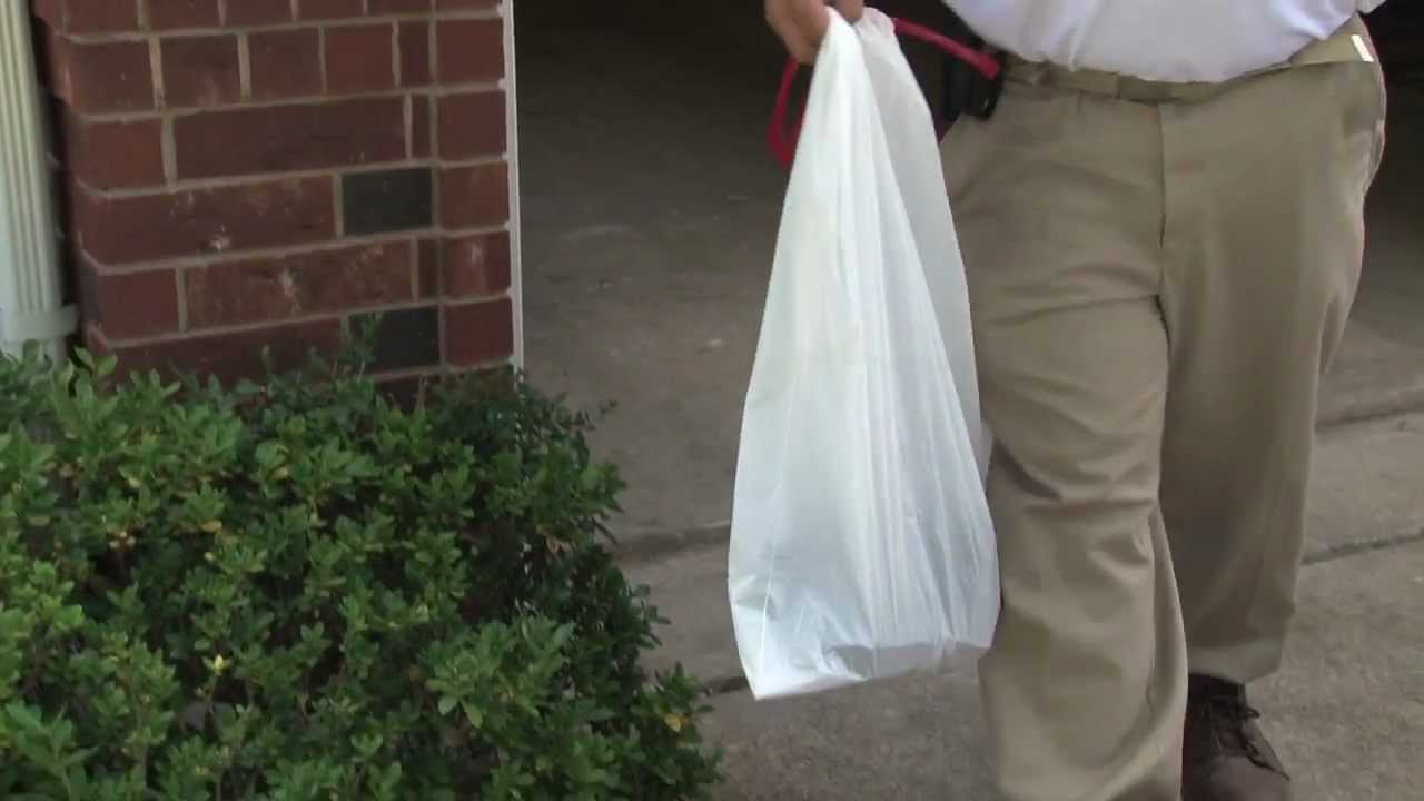 Travel Tips Bed Bug Prevention After Trip YouTube