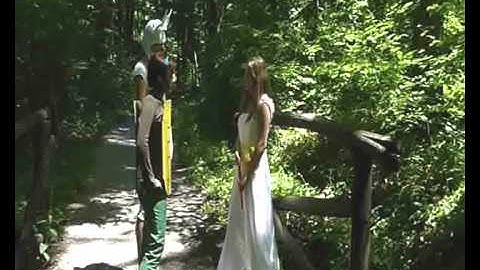 Comenius Project "Let