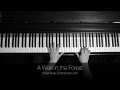 Miniature de la vidéo de la chanson A Walk In The Forest (Piano Solo)