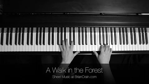 Brian Crain - A Walk in the Forest (Overhead Camera)