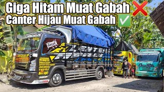 Sam Ucil Giga Hitam Sapa Maniak Ngawi‼️Gagal Muat Gabah ...