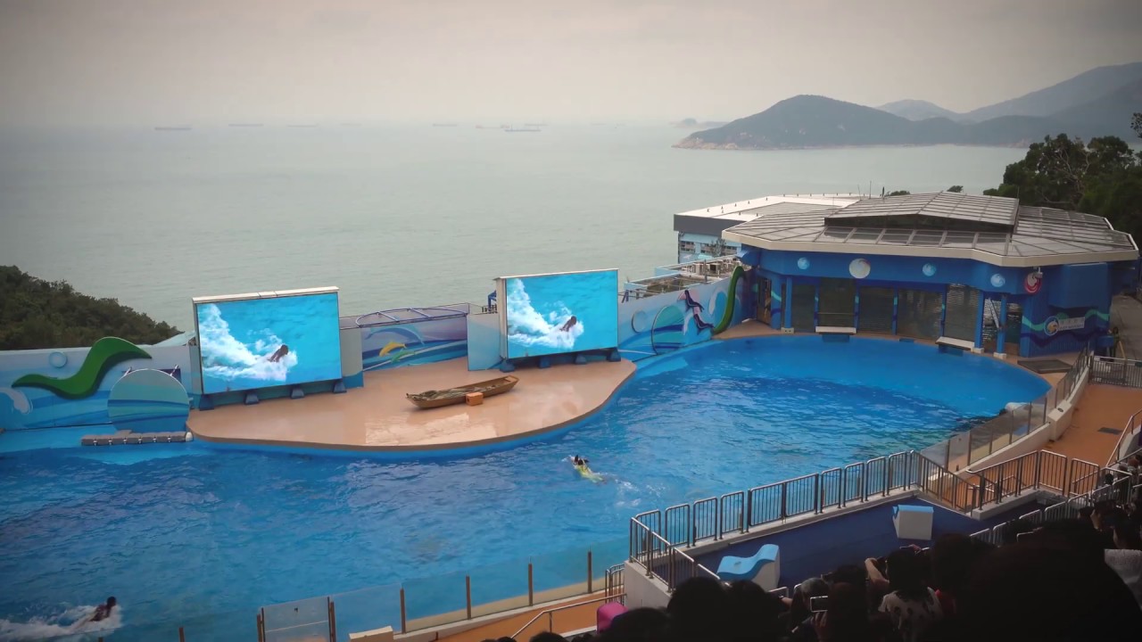 camera iphone 8 plus apk Hong Kong Ocean Park