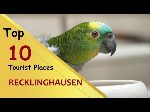 "RECKLINGHAUSEN" Top 10 Tourist Places | Recklinghausen Tourism | GERMANY